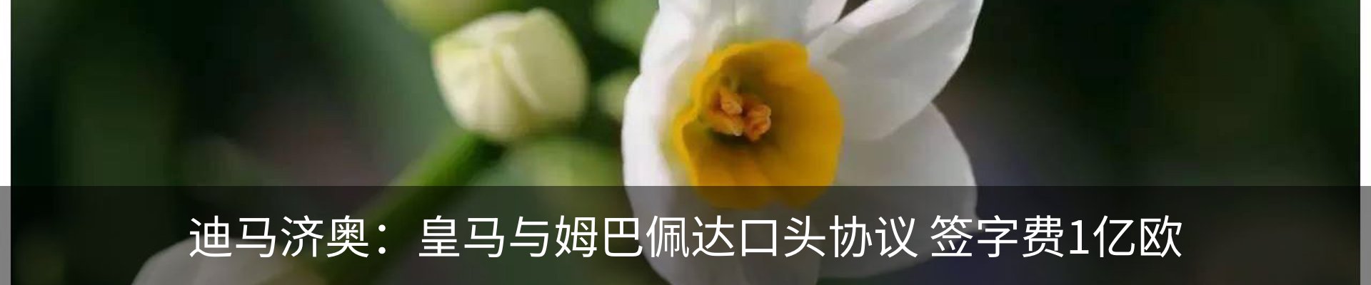资讯动态